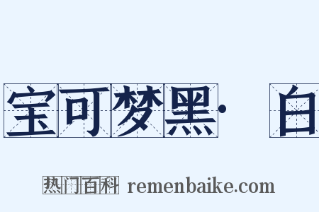 宝可梦黑·白是什么意思的图片